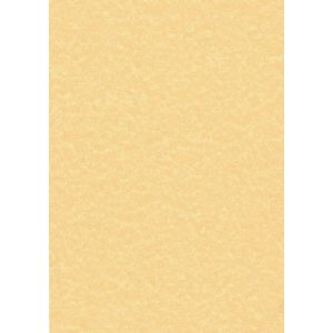 Decadry Paper 95Gsm Pk100 Parchment Gold